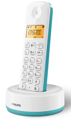 PHILIPS ασύρματο τηλέφωνο D1601T-34, με ελληνικό μενού, λευκό-πράσινο